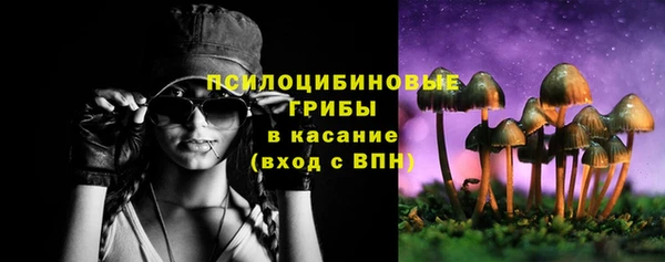 героин Алексин