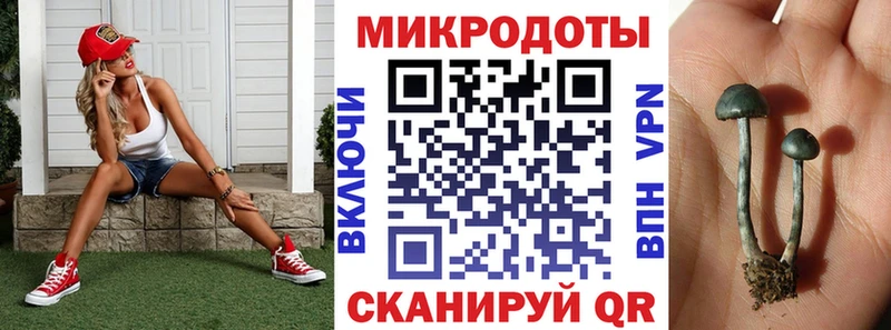 Галлюциногенные грибы Cubensis  Талица 